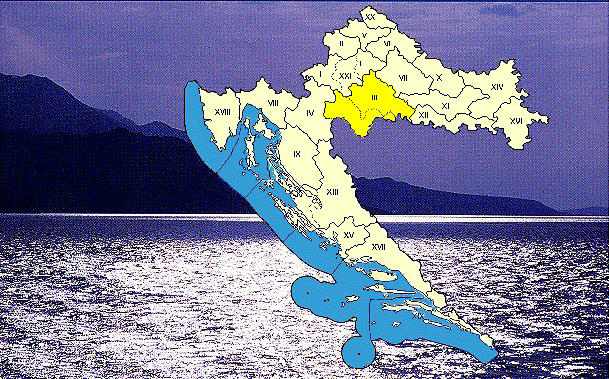 ZUPE3.jpg (75527 bytes)